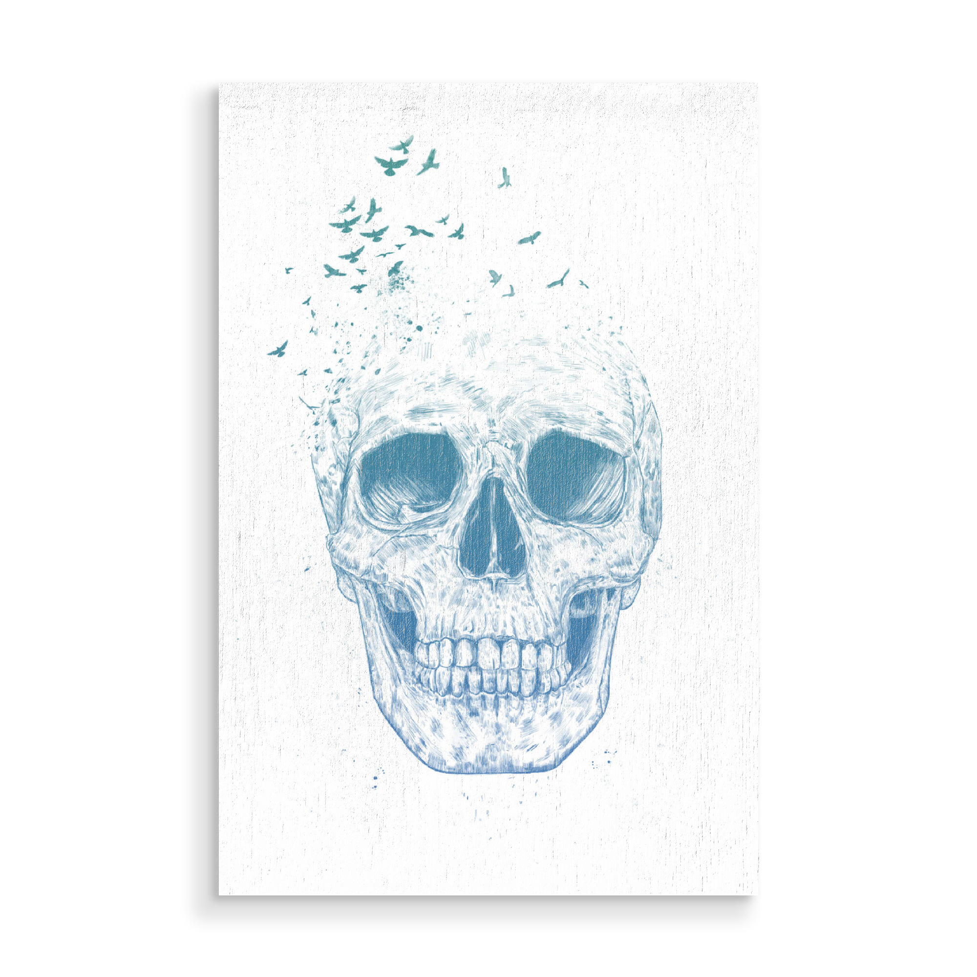 Holzbild "Let them fly" artboxONE - Tiere,Schwarzweiß,Männer - Totenkopf,Skull,Vögel,Birds,Fly,Fliegen,Bone,Life