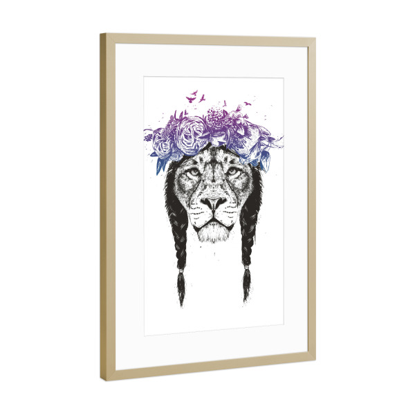 Poster mit Rahmen Gold "King of Lions" artboxONE - Tiere,Schwarzweiß,Festivals,Lustig
