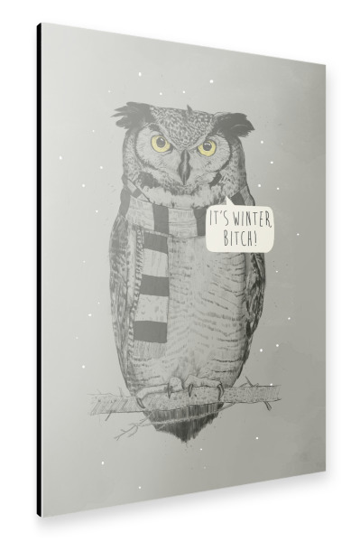Alu-Dibond "It ́s winter" 30x20 cm artboxONE