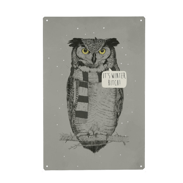 Metall Poster "It ́s winter" artboxONE - Tiere,Schwarzweiß,Lustig - Eule,Winter,Its cold,Cold,Snow,Schnee,Kalt,Schal,Scarf,Owl - Blechschild