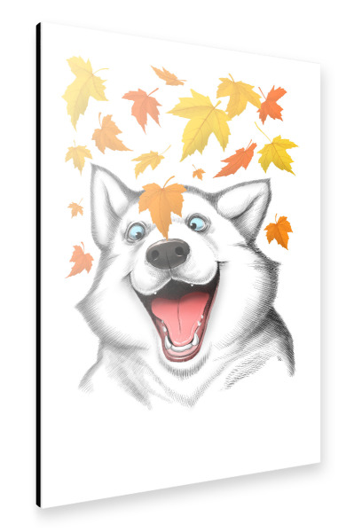 Alu-Dibond "Autumn husky" 30x20 cm artboxONE