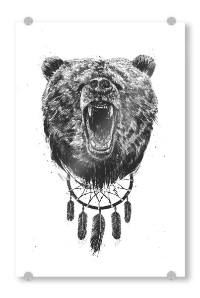 Acrylglasbild "Dont wake the bear" artboxONE - Tiere,Schwarzweiß,Für Papa,Männer - Wild,Langschläfer,Morgenmuffel,Sleep,Traumfänger,Böse,Angry