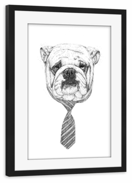 Poster mit Rahmen schwarz "Cool Dog" artboxONE - Tiere,Schwarzweiß,Für Papa,Männer,Lustig