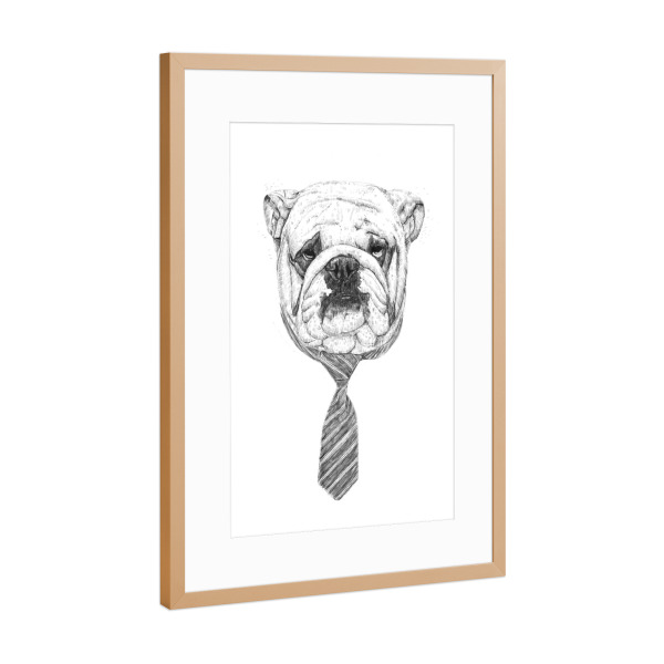 Poster mit Rahmen Kupfer "Cool Dog" artboxONE - Tiere,Schwarzweiß,Für Papa,Männer,Lustig
