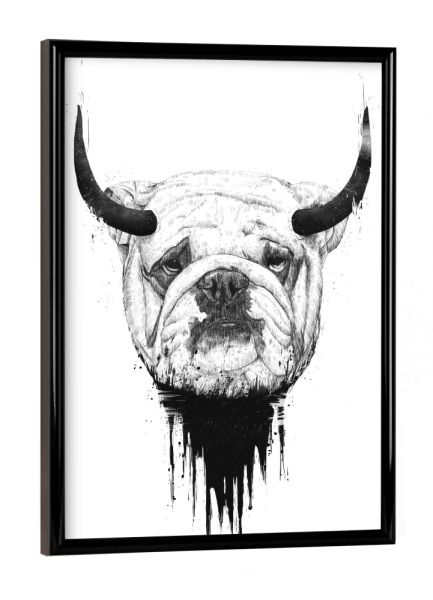 Poster mit schwarzem Rahmen "Bull dog" artboxONE - Tiere,Schwarzweiß,Für Papa,Männer,Lustig - Dog,Bull,Funny,Hörner,Bulle,Hund,Lachen
