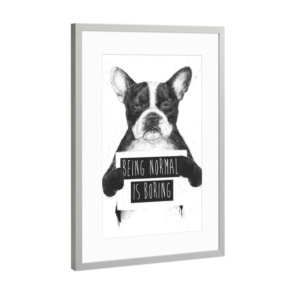 Poster mit Rahmen Silber "Being normal is boring" artboxONE - Tiere,Schwarzweiß,Für Papa,Männer,Lustig