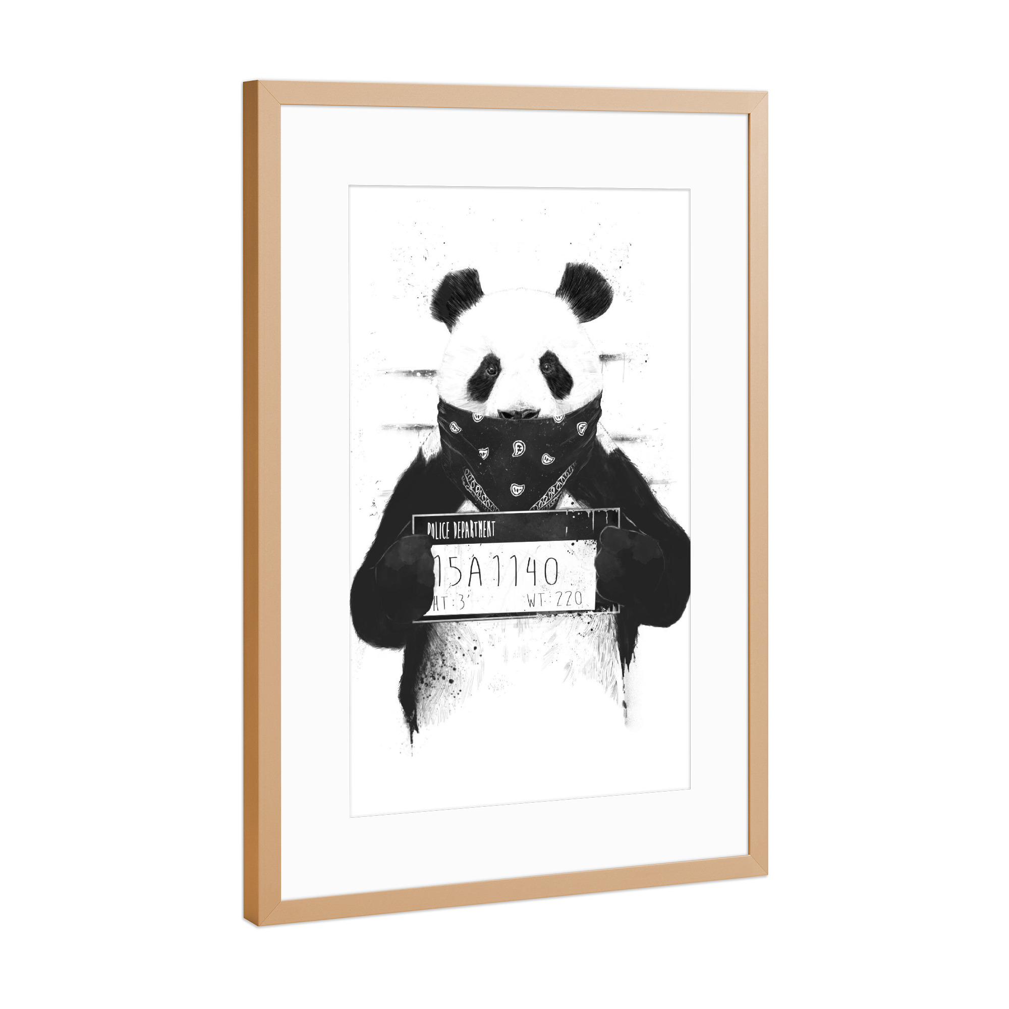 Poster mit Rahmen Kupfer "Bad Panda" artboxONE - Tiere,Schwarzweiß,Für Papa,Männer,Lustig - Panda,Bär,Böse,Bad,Gansta,Mundschutz,Bad boy,Lustig,Funny