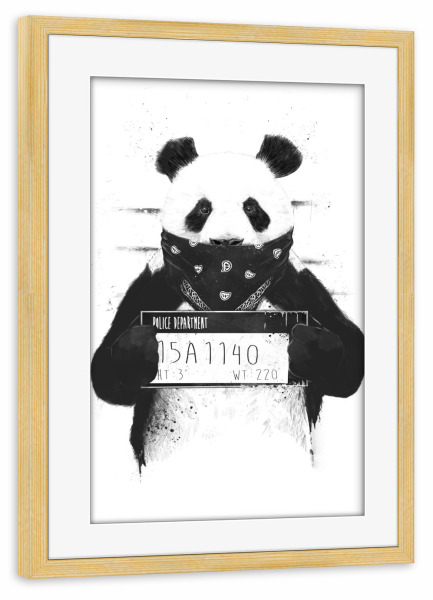 Poster mit Rahmen kiefer "Bad Panda" artboxONE - Tiere,Schwarzweiß,Für Papa,Männer,Lustig - Panda,Bär,Böse,Bad,Gansta,Mundschutz,Bad boy,Lustig,Funny