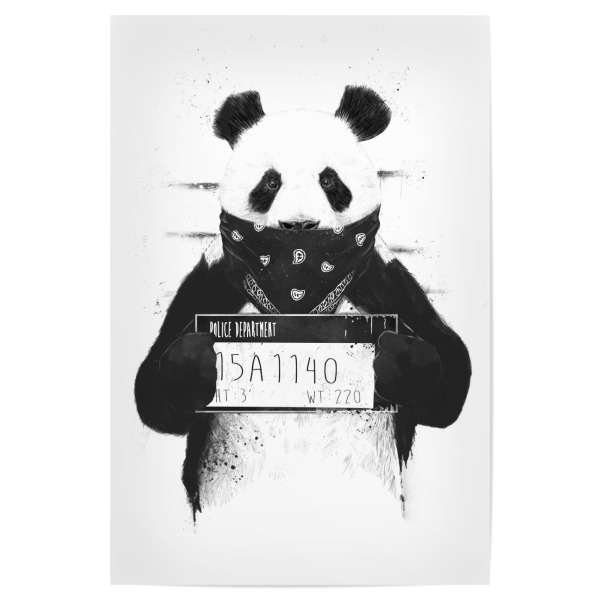 Poster 30x20 cm "Bad Panda" artboxONE - Tiere,Schwarzweiß,Für Papa,Männer,Lustig - Panda,Bär,Böse,Bad,Gansta,Mundschutz,Bad boy,Lustig,Funny