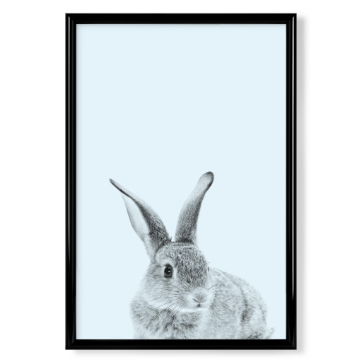 Rabbit 31