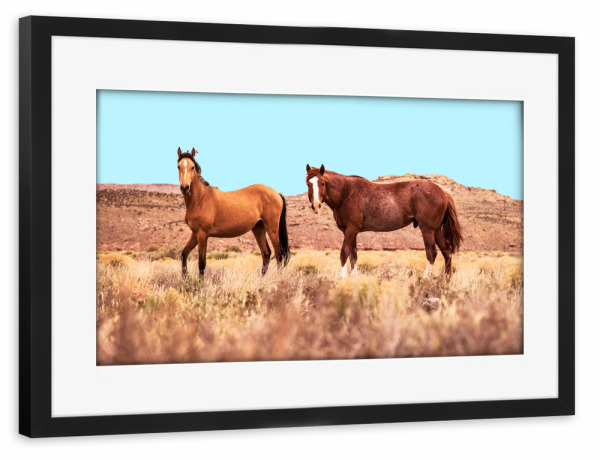 Poster mit Rahmen schwarz "Horses" artboxONE - Natur,Tiere
