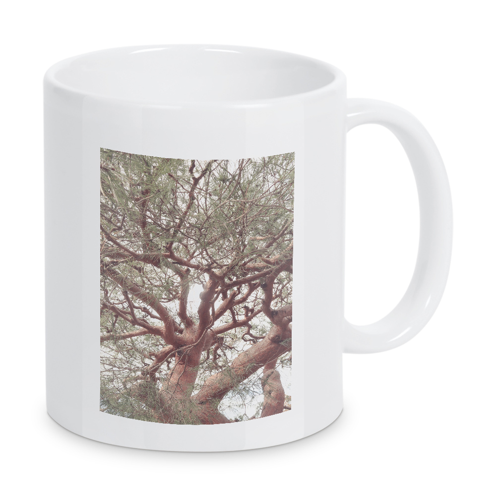 Tasse "Riesiger Baum" artboxONE - Natur,Floral - Baum,Riesenbaum