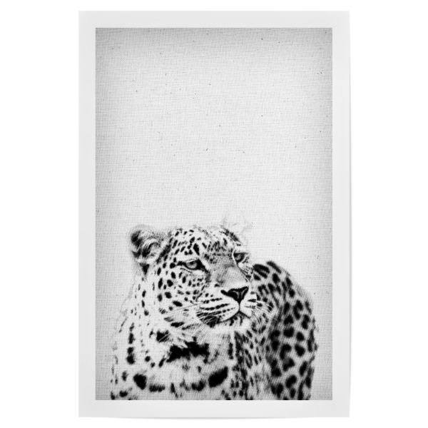 Poster 30x20 cm "Leopard 03" artboxONE - Natur,Für Kinder,Tiere,Schwarzweiß,Reise / Afrika - Leopard,Wild,Wald,Safari,Savanne,Jagen,Wildkatze