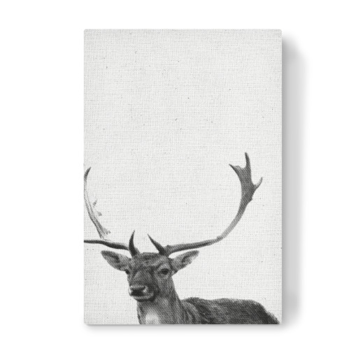 Hirsch 04
