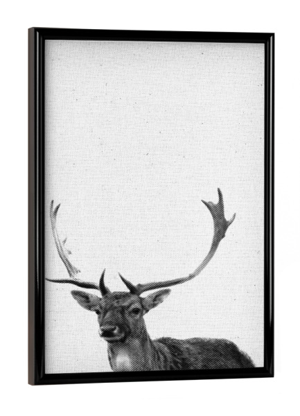 Poster mit schwarzem Rahmen "Hirsch 04 " artboxONE - Natur,Für Kinder,Tiere - Hirsch,Halbton,Wald,Wild,Geweih,Porträt