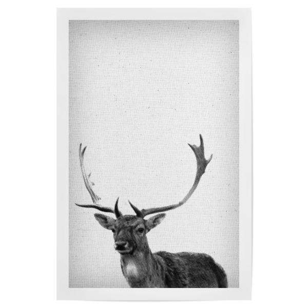 Poster 30x20 cm "Hirsch 04 " artboxONE - Natur,Für Kinder,Tiere - Hirsch,Halbton,Wald,Wild,Geweih,Porträt