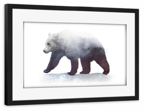 Poster mit Rahmen schwarz "Winter Bear" artboxONE - Tiere - Bear,Wild,Forest,Wood,Watercolor,Double exposure