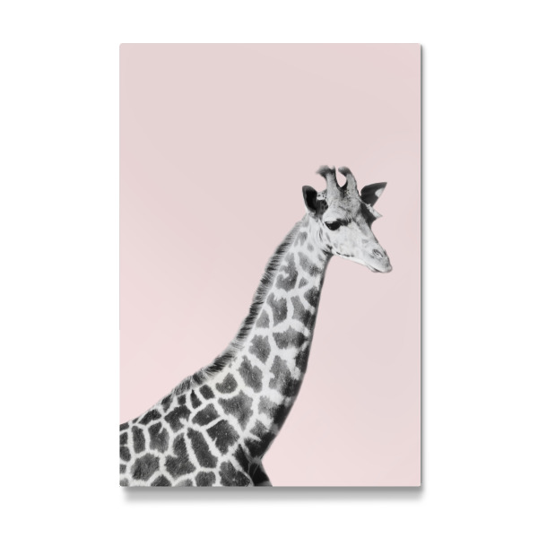 Galerie-Print "Giraffa on Pink" 30x20 cm artboxONE