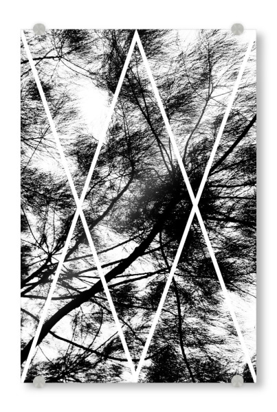 Acrylglasbild "XX Nature" artboxONE - Natur,Abstrakt,Schwarzweiß