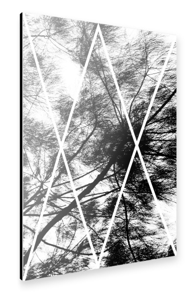 Alu-Dibond "XX Nature" 30x20 cm artboxONE