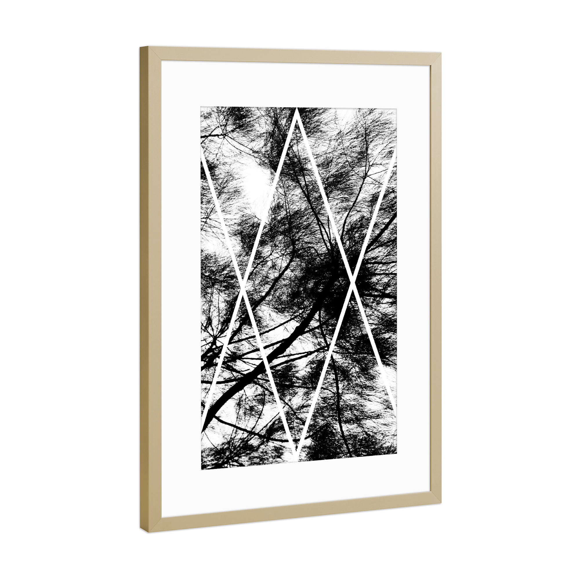 Poster mit Rahmen Gold "XX Nature" artboxONE - Natur,Abstrakt,Schwarzweiß