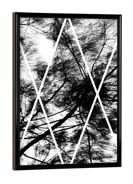 Poster mit schwarzem Rahmen "XX Nature" artboxONE - Natur,Abstrakt,Schwarzweiß