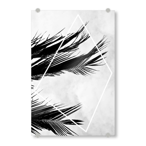 Palmsky