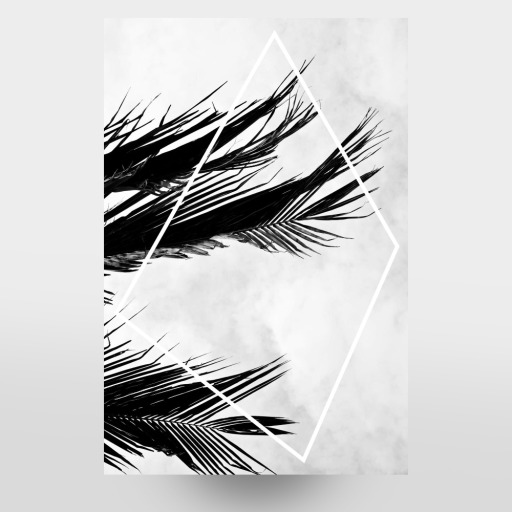 Palmsky