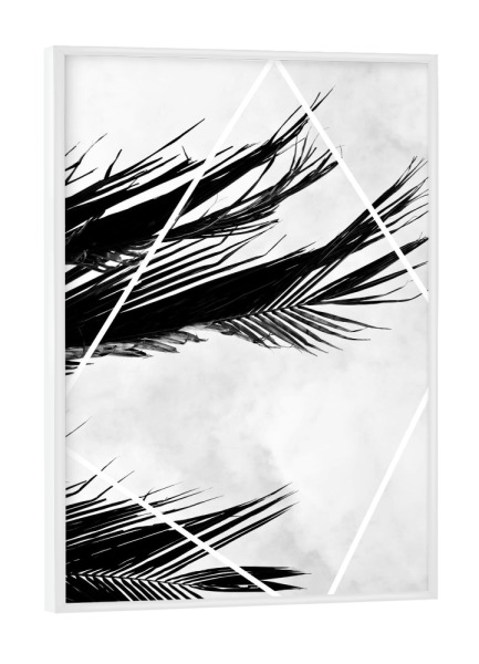 Poster mit weißem Rahmen "Palmsky" artboxONE - Natur,Schwarzweiß
