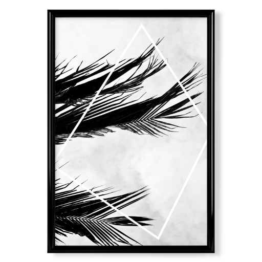 Palmsky