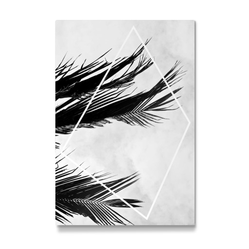 Palmsky