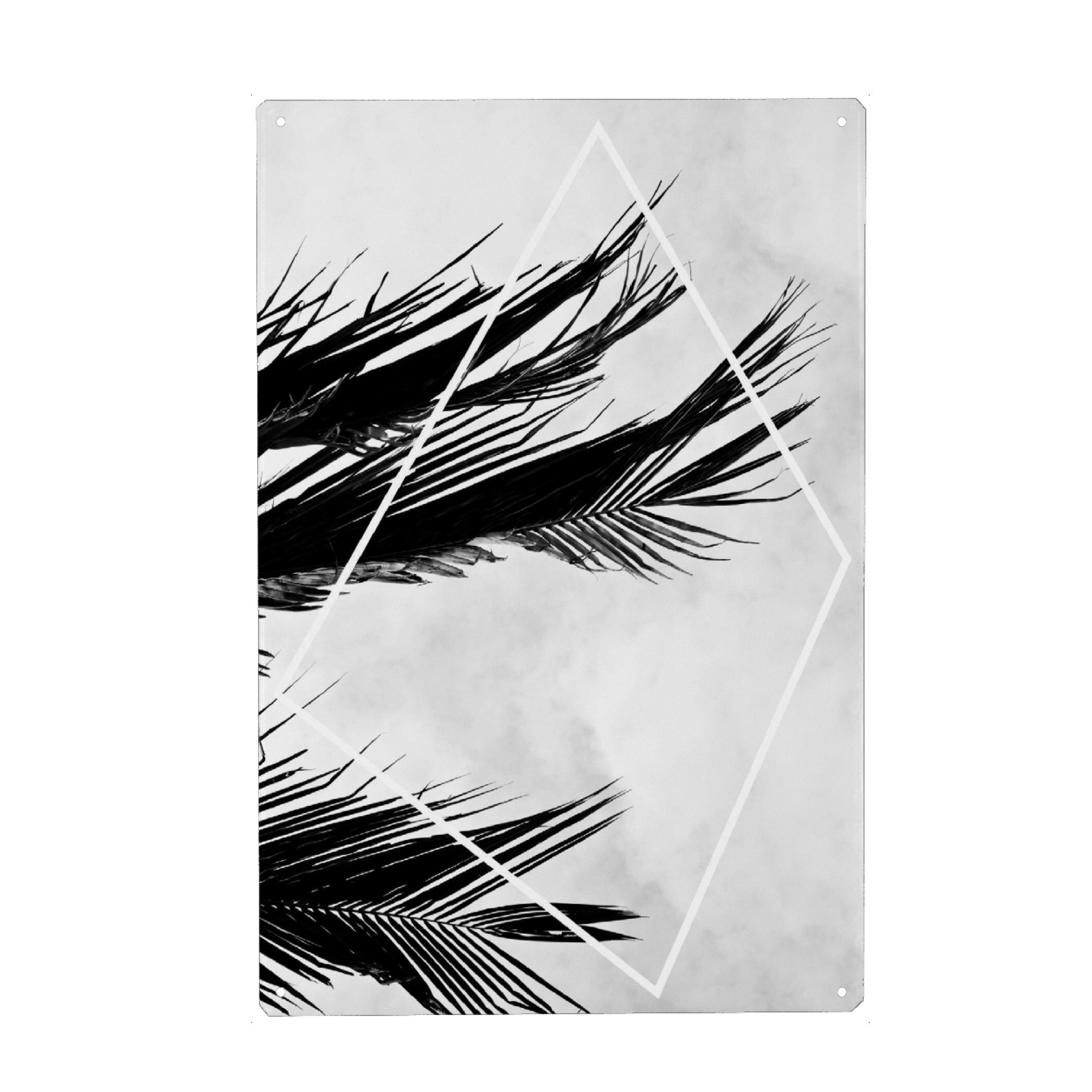 Metall Poster "Palmsky" artboxONE - Natur,Schwarzweiß