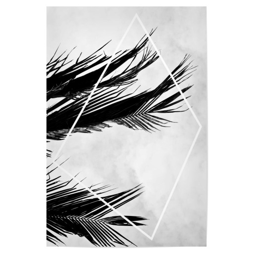Palmsky