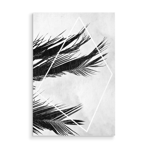 Palmsky
