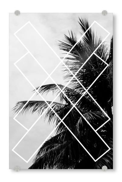 Acrylglasbild "Palmsky Nr. 2" artboxONE - Natur,Schwarzweiß