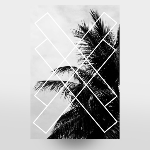 Palmsky Nr. 2