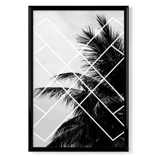 Palmsky Nr. 2