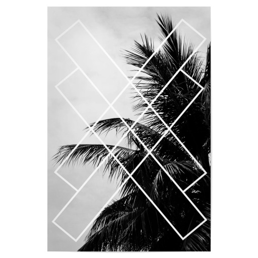 Palmsky Nr. 2