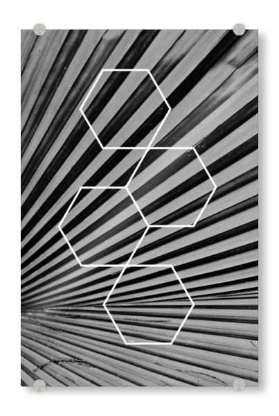 Acrylglasbild "Leaf & Squares" artboxONE - Natur,Reise,Abstrakt,Schwarzweiß,Geometrie,Reise / Asien