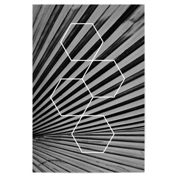 Poster "Leaf & Squares" artboxONE - Natur,Reise,Abstrakt,Schwarzweiß,Geometrie,Reise / Asien