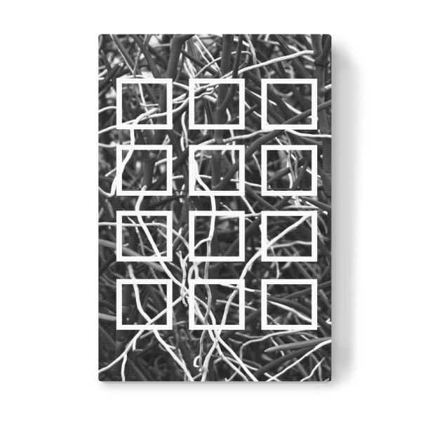 Leinwandbild "Botanic Squares" artboxONE - Natur,Floral,Schwarzweiß,Geometrie