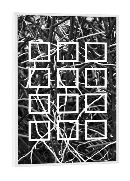 Poster mit weißem Rahmen "Botanic Squares" artboxONE - Natur,Floral,Schwarzweiß,Geometrie
