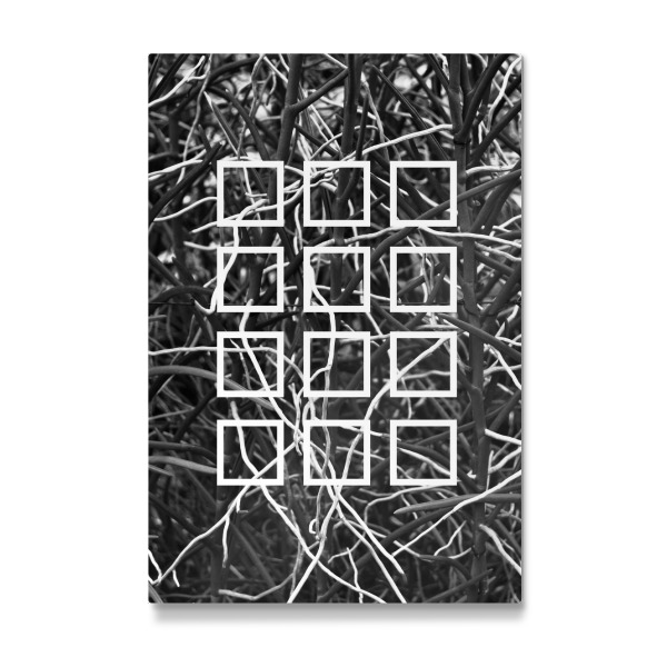 Galerie-Print "Botanic Squares" 30x20 cm artboxONE