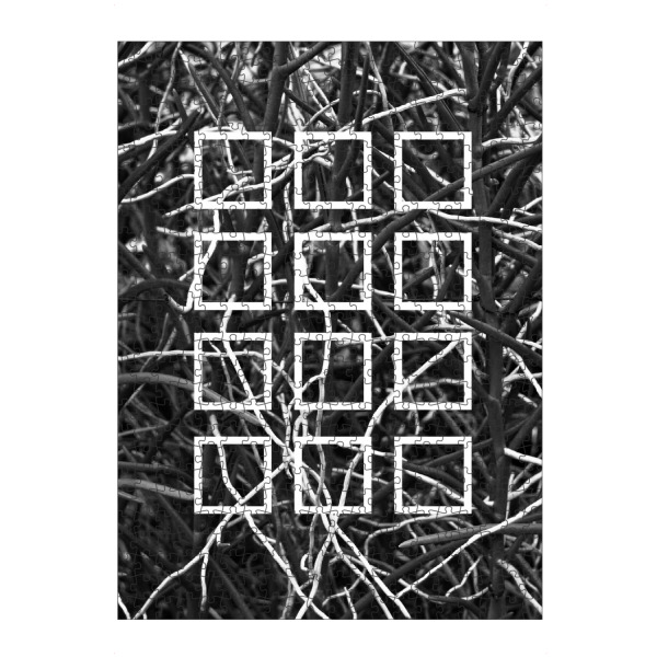 Puzzle Ravensburger "Botanic Squares" artboxONE - Natur,Floral,Schwarzweiß,Geometrie