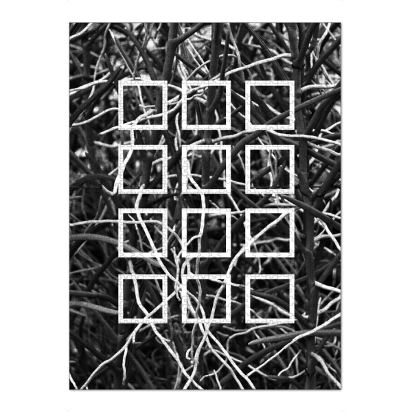 Puzzle Ravensburger "Botanic Squares" artboxONE - Natur,Floral,Schwarzweiß,Geometrie