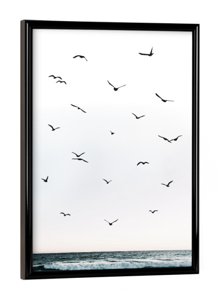 Poster mit schwarzem Rahmen "Birds 4" artboxONE - Natur,Reise,Tiere,Reise / Strand und Meer