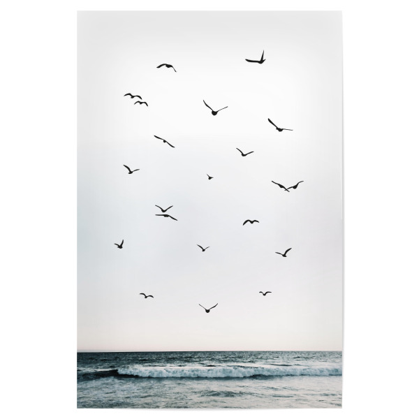 Poster "Birds 4" artboxONE - Natur,Reise,Tiere,Reise / Strand und Meer