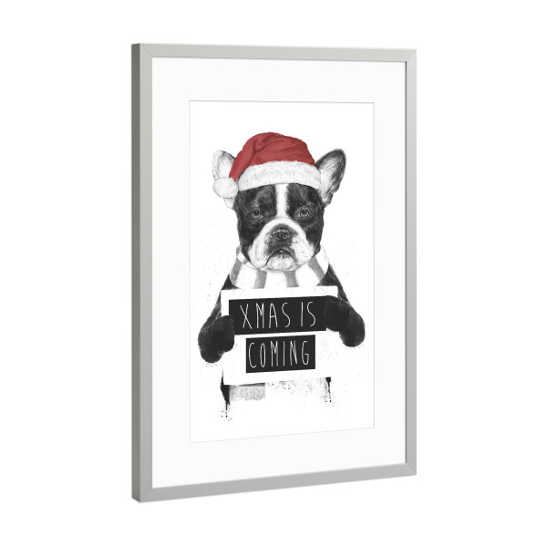 Poster mit Rahmen Silber "Xmas is coming 2" artboxONE - Tiere - Xmas,Christmas,Holidays,Winter,Humor,Funny,Dog,Bulldog,Animal