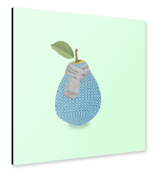 Alu-Dibond "Pear winter" 30x30 cm artboxONE