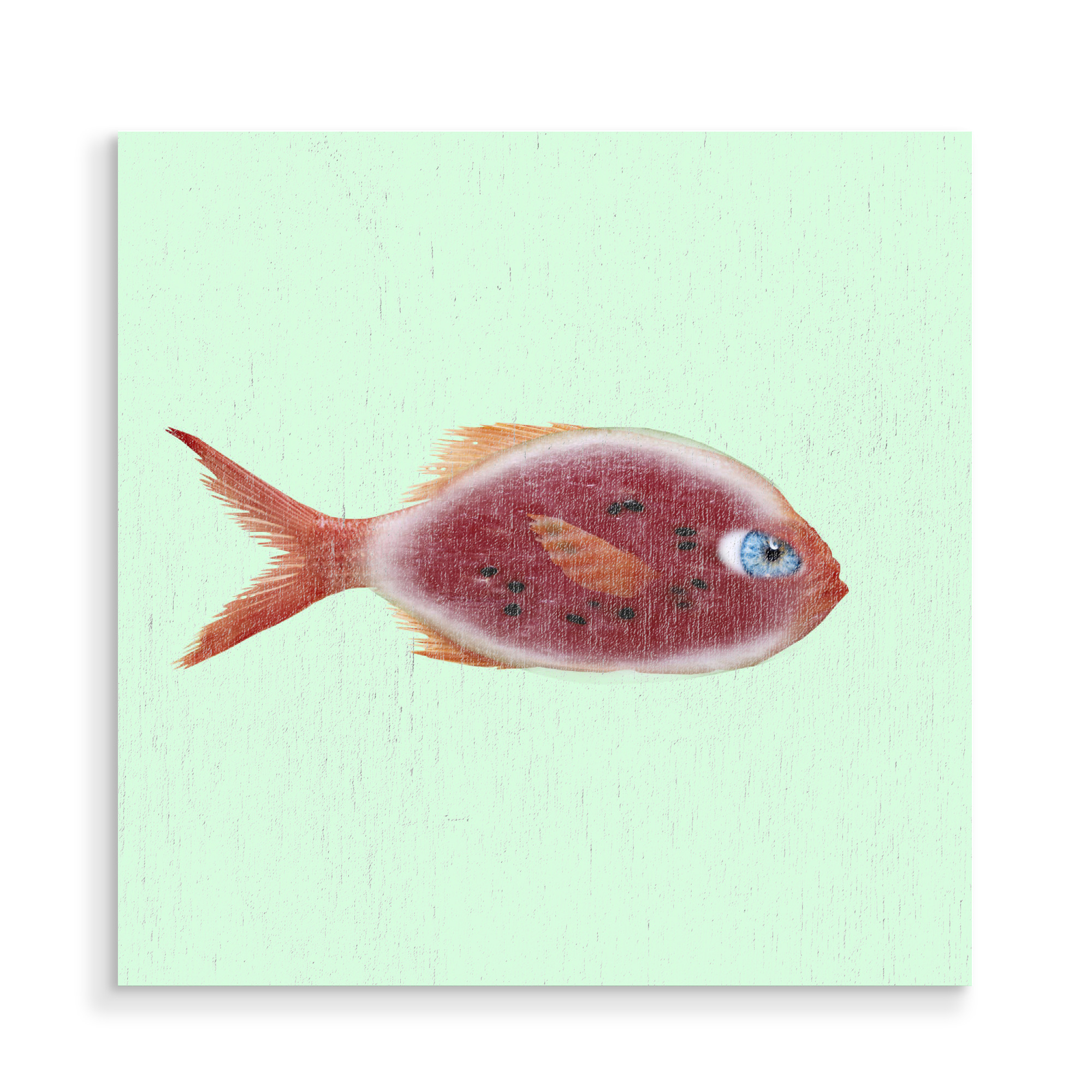 Holzbild "Red Fish" artboxONE - Tiere,Abstrakt